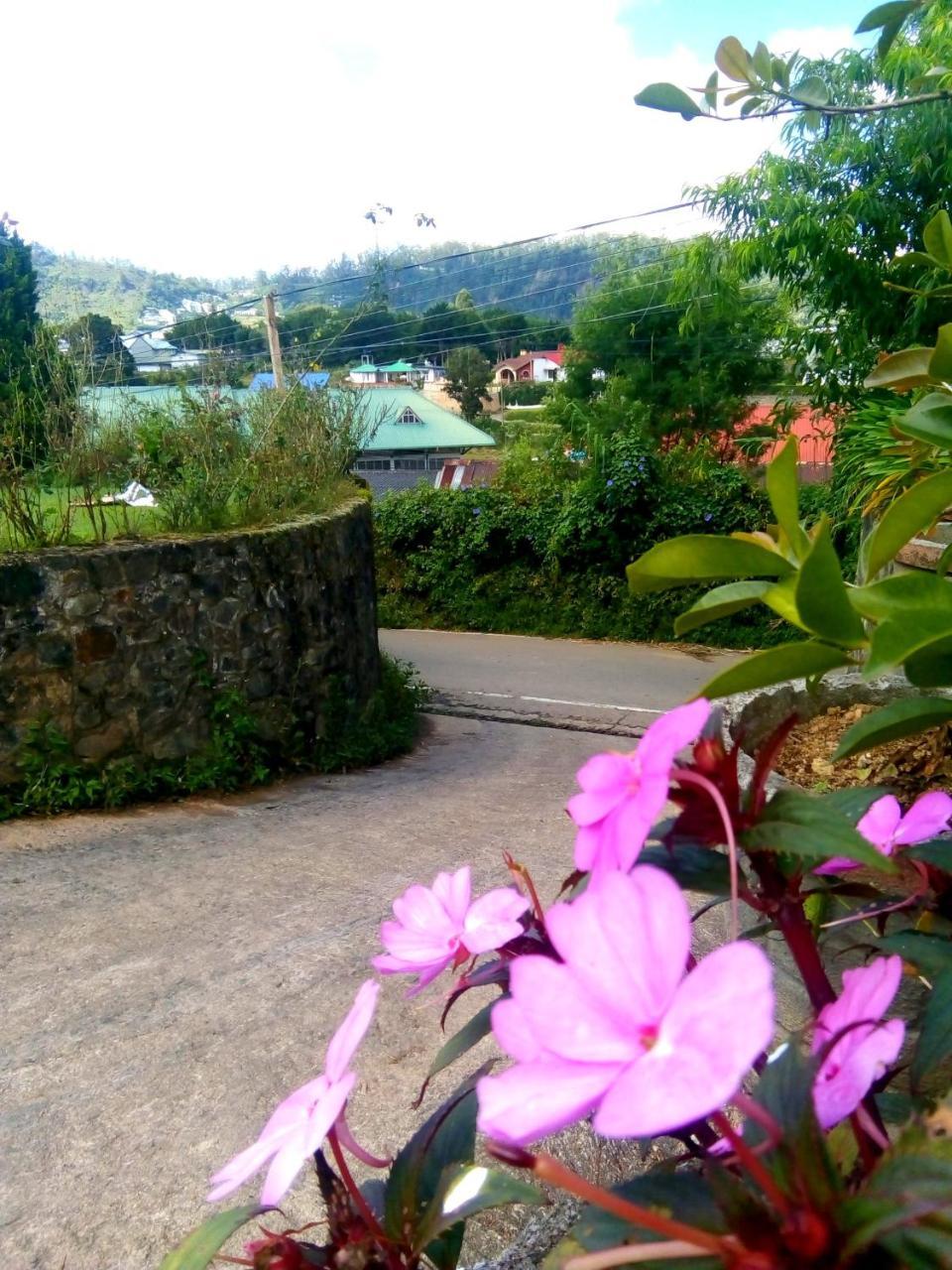 Nuwara Eliya Mountain View Homestay Екстер'єр фото