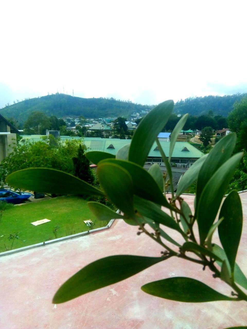 Nuwara Eliya Mountain View Homestay Екстер'єр фото