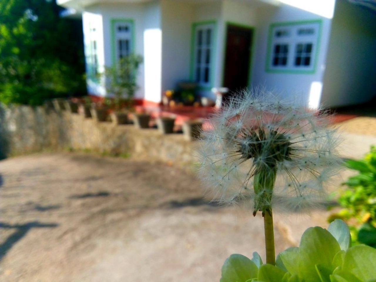 Nuwara Eliya Mountain View Homestay Екстер'єр фото
